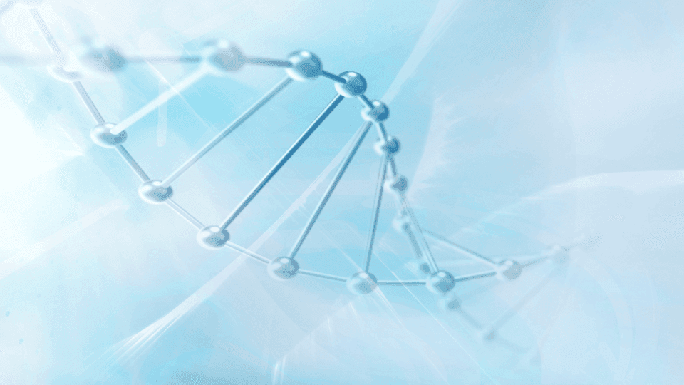 Mengenal Prosedur Salmon DNA dan Hasilnya di Kulit