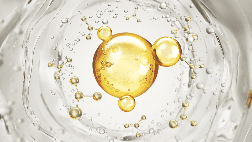 Ceramide & Hyaluronic Acid: Duo Combo Terbaik untuk Kulit Puasa