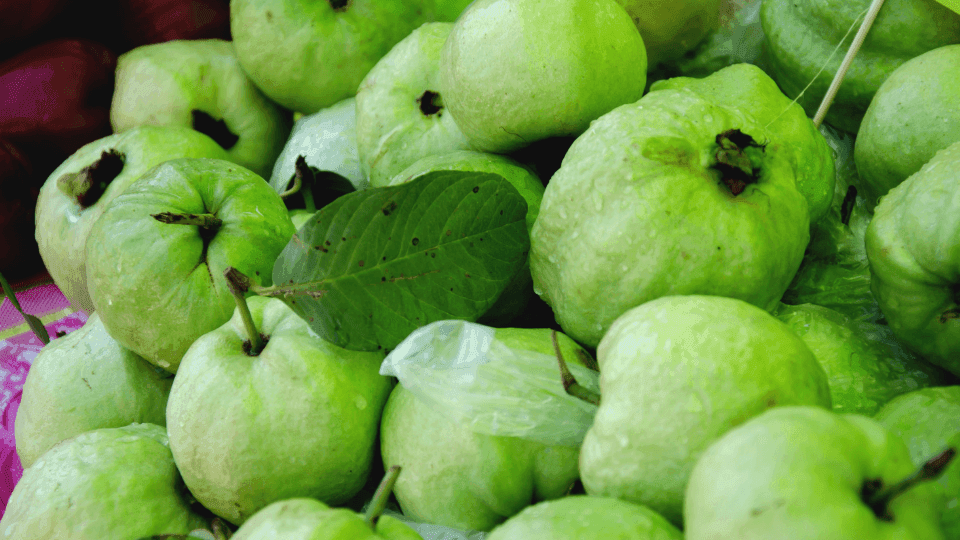 manfaat daun jambu biji untuk kulit wajah