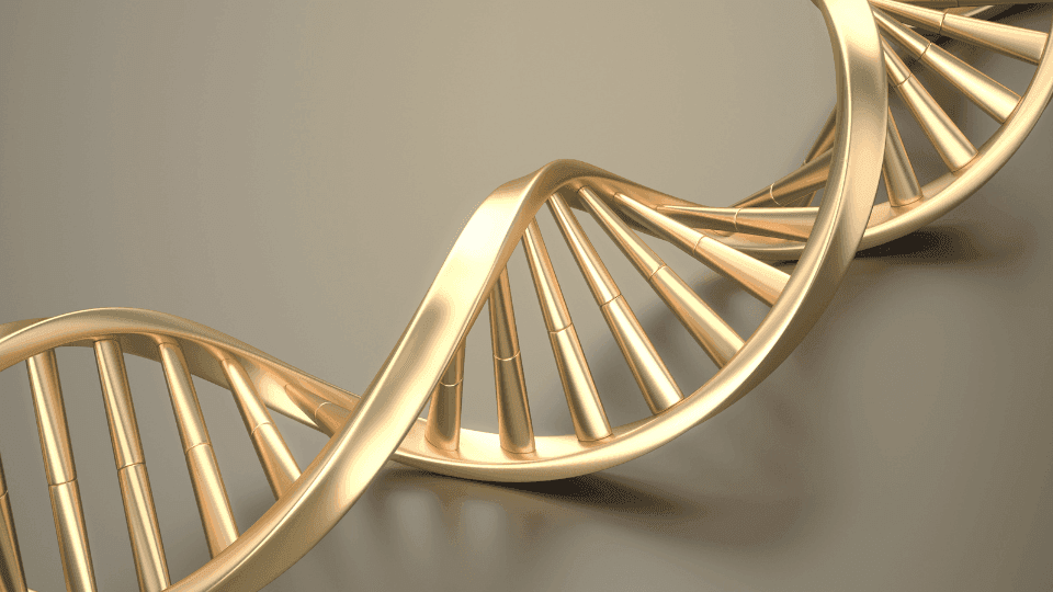 Mengenal Apa Itu Suntik DNA Salmon dan Fungsinya