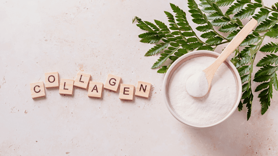 kolagen untuk kecantikan kulit