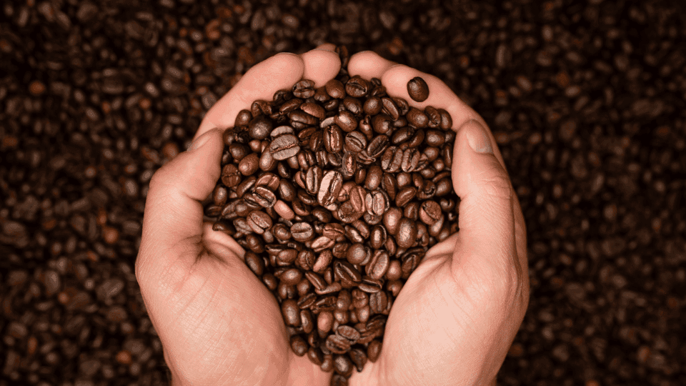 manfaat kopi untuk menjaga kesehatan rambut