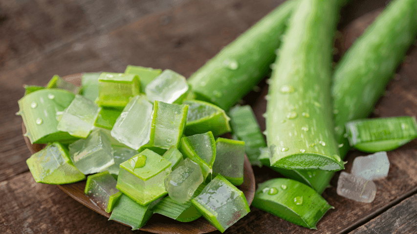 Serba-Serbi Aloe Vera Diricare