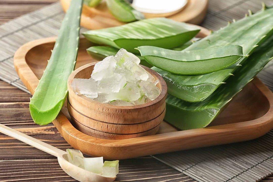 Manfaat Lidah Buaya untuk Rambut Diricare