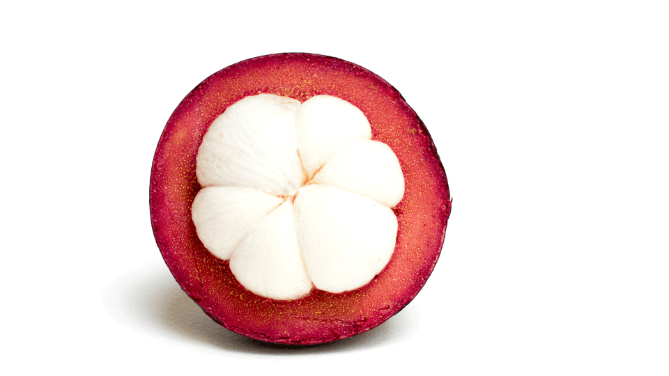 manfaat buah manggis